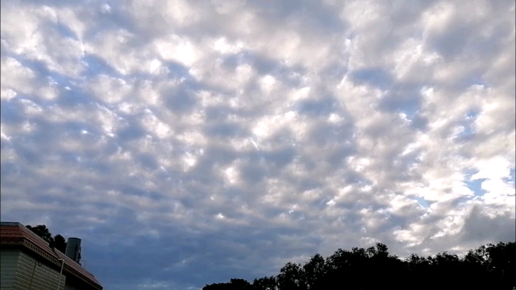 78 下了五天雨,终于晴了,伴随吹了一日的大风,以及霸占天空一下午的