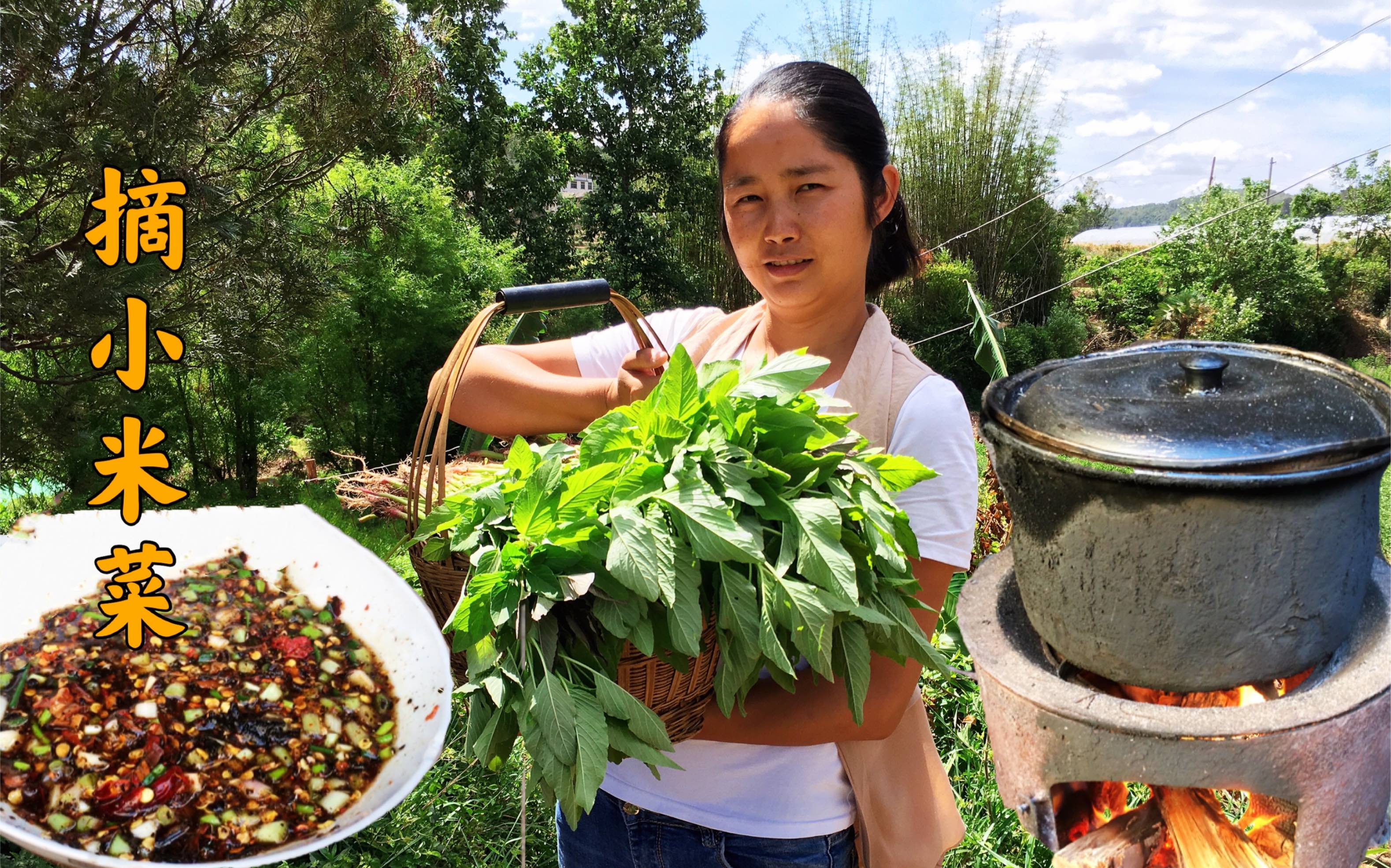 云南大山家里种了好多小米菜,小两口摘上一些回家打蘸水,真好吃