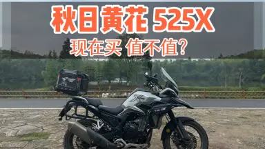 【マスターバニーエディション】美品 2WAY ダウンジャケット ベスト 5 黒 525X-哔哩哔哩_Bilibili