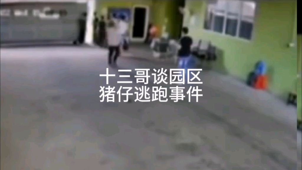 [图]十三哥谈园区猪仔逃跑事件#缅北诈骗公司 #反诈骗宣传 #境外诈骗