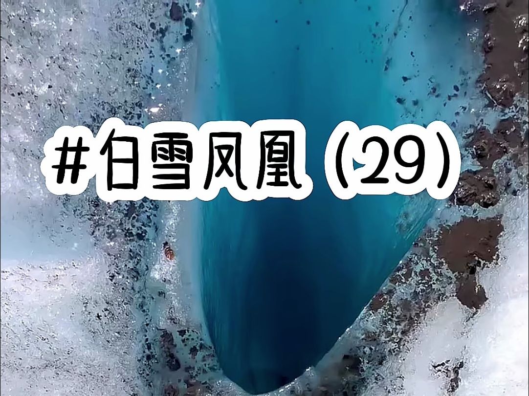 [图]茗《白雪凤凰》第29集