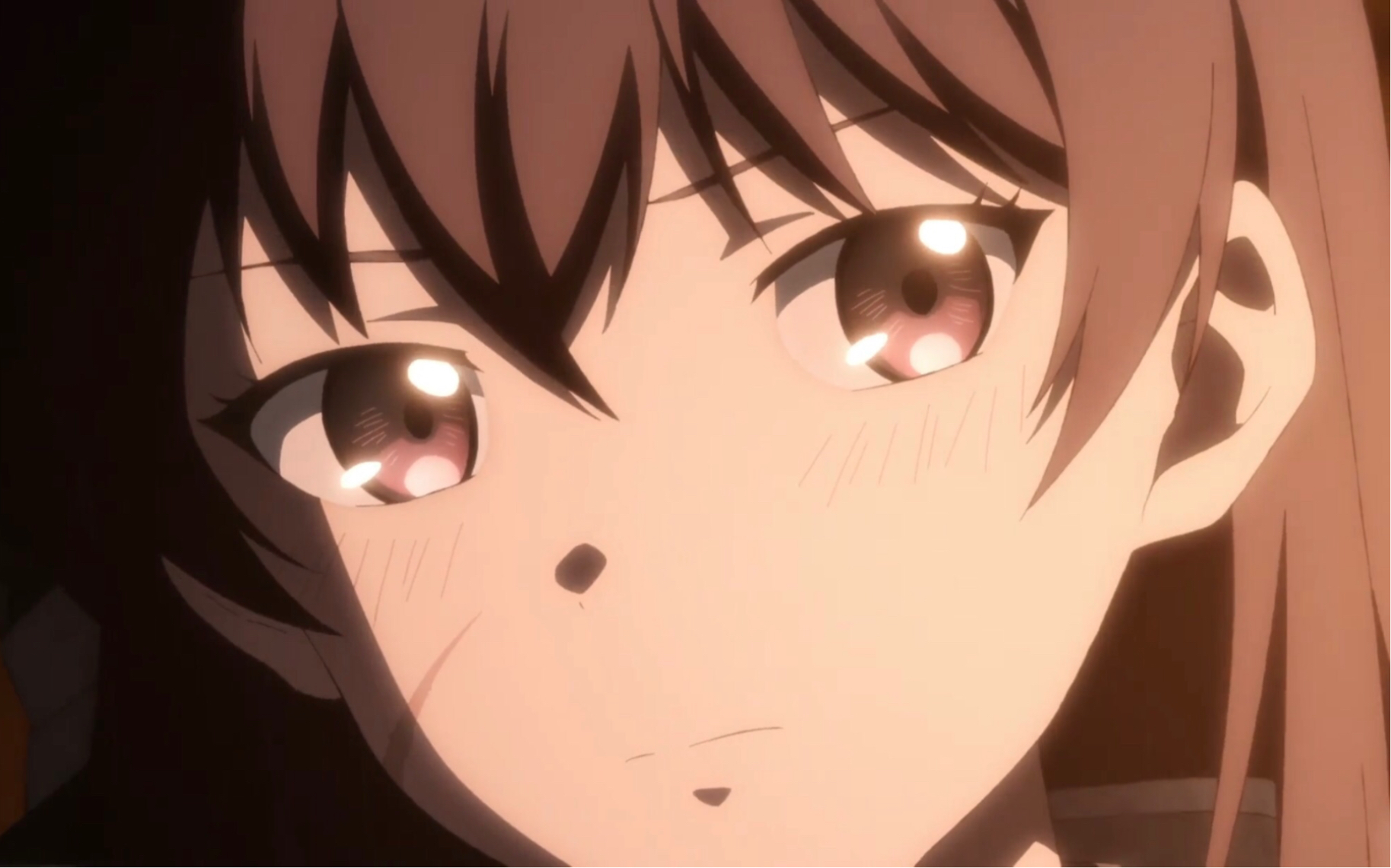 使命召唤 amr冉冰