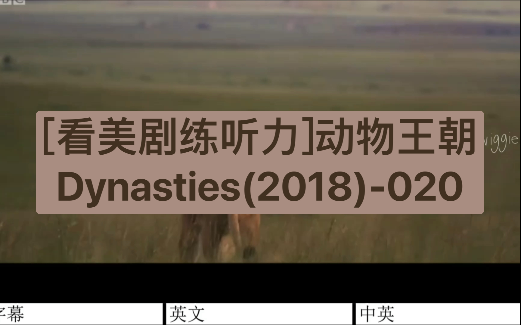 [图][看美剧练听力]动物王朝Dynasties(2018)-020