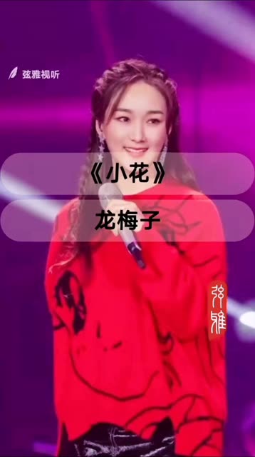 音乐 #龙梅子 #歌曲推荐