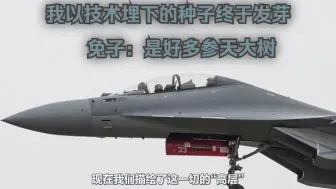 Download Video: 【俄方回忆录】Su-30之所以还有市场，是因为学生念着旧情。续39