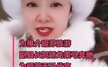 雪地策马女副县长打赏收入全用于公益:“我不想当网红县长,该红的是这里!”哔哩哔哩bilibili