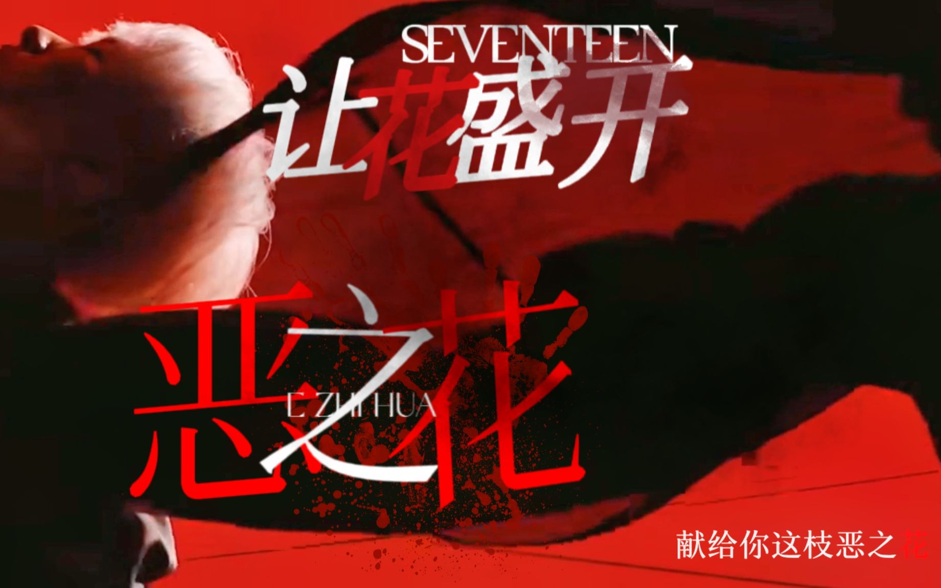 [SEVENTEEN]以血浇灌,让花盛开【请叫我恶之花】哔哩哔哩bilibili