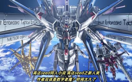 高达seed同人小说 高达seed之新人类 第九十九章