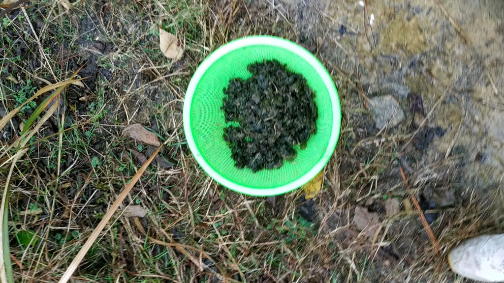 草从中的皮皮菇_哔哩哔哩 (゜-゜)つロ 干杯~-bilibili