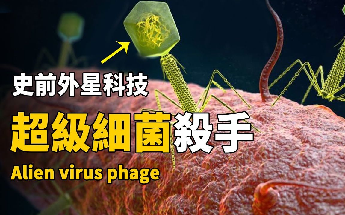 美国滥用抗生素产生超级细菌! 2050年时恐将每年杀死1000万人!