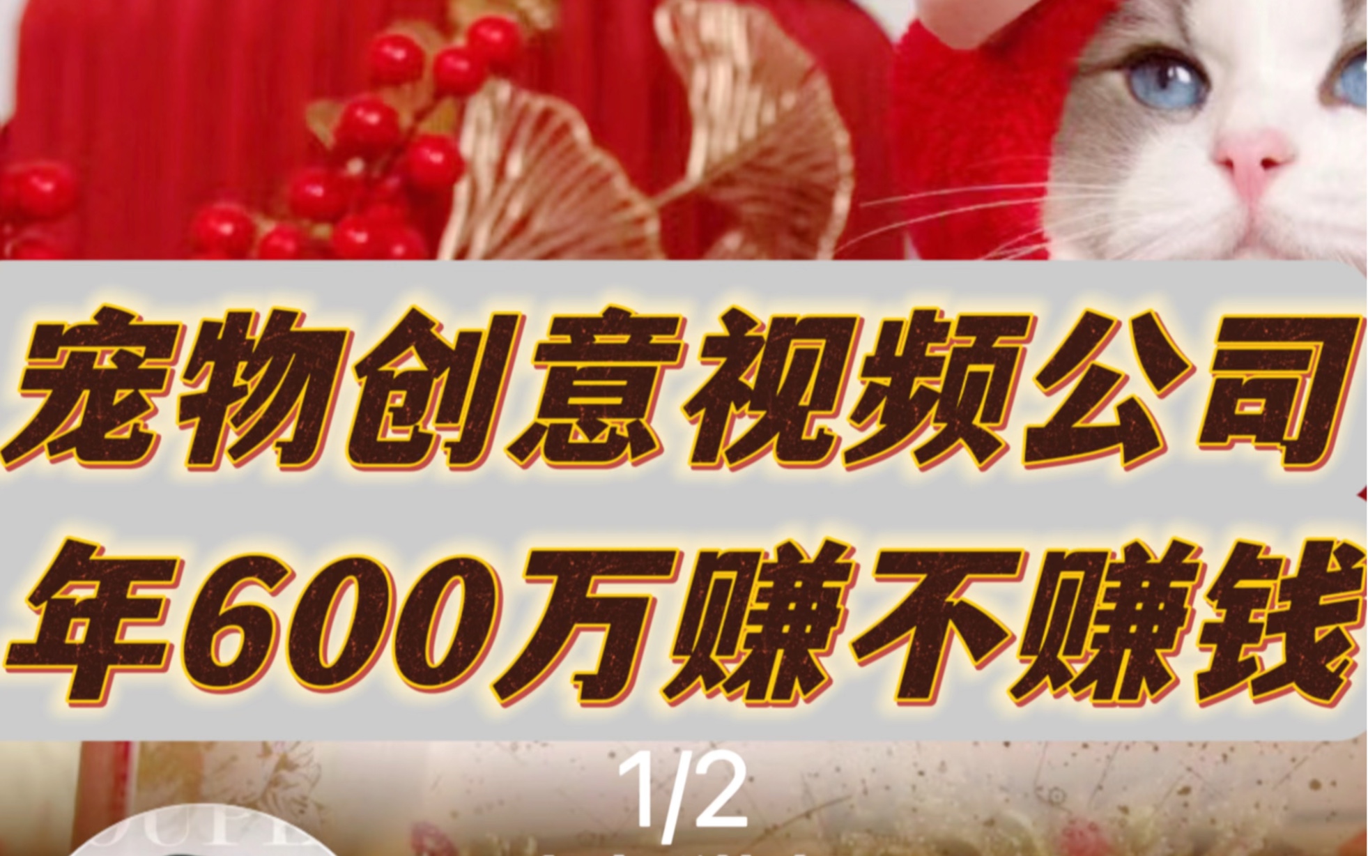 宠物创意视频公司 年600万赚不赚钱 第一集哔哩哔哩bilibili