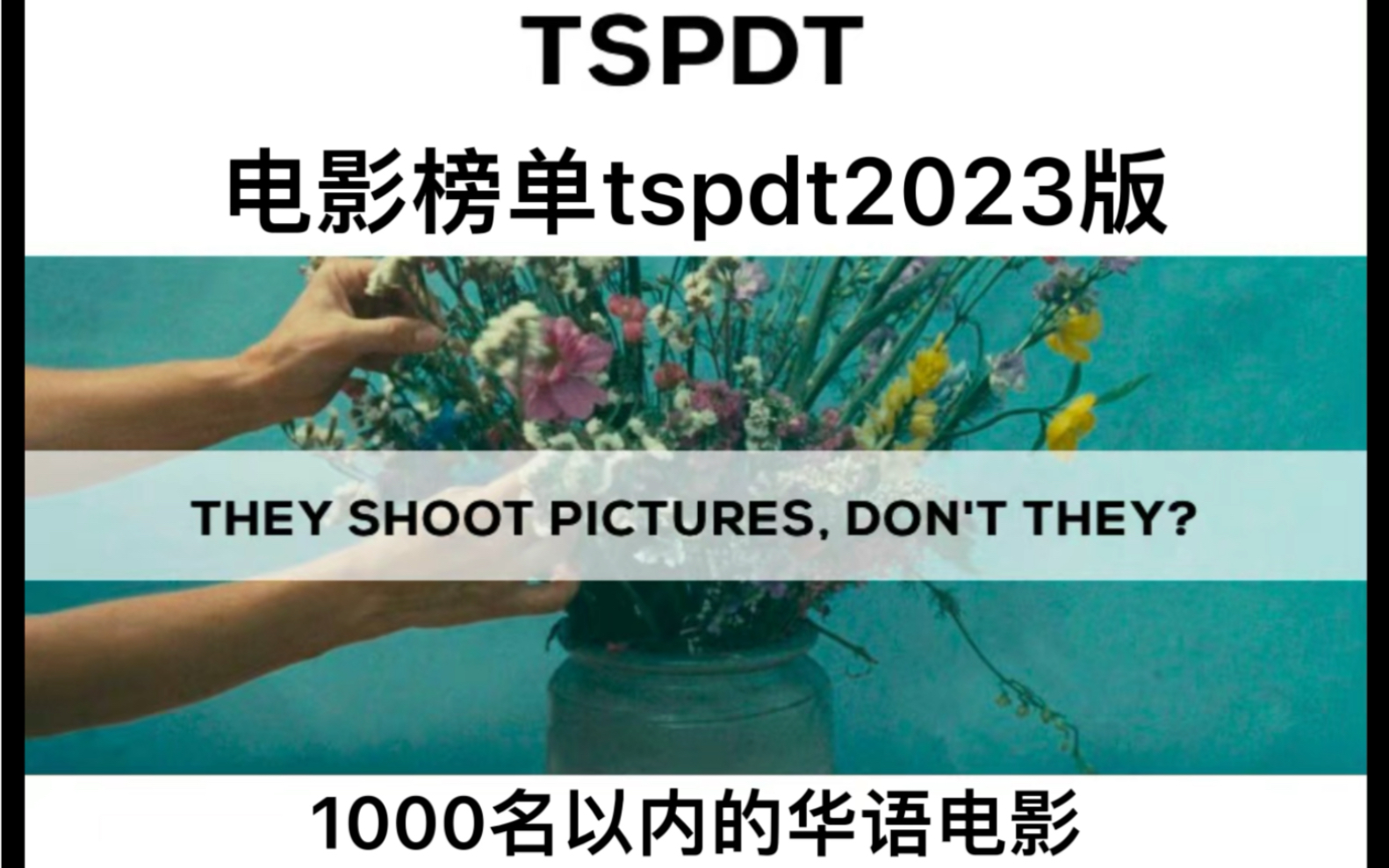 2023版TSPDT榜单1000名内的华语电影哔哩哔哩bilibili