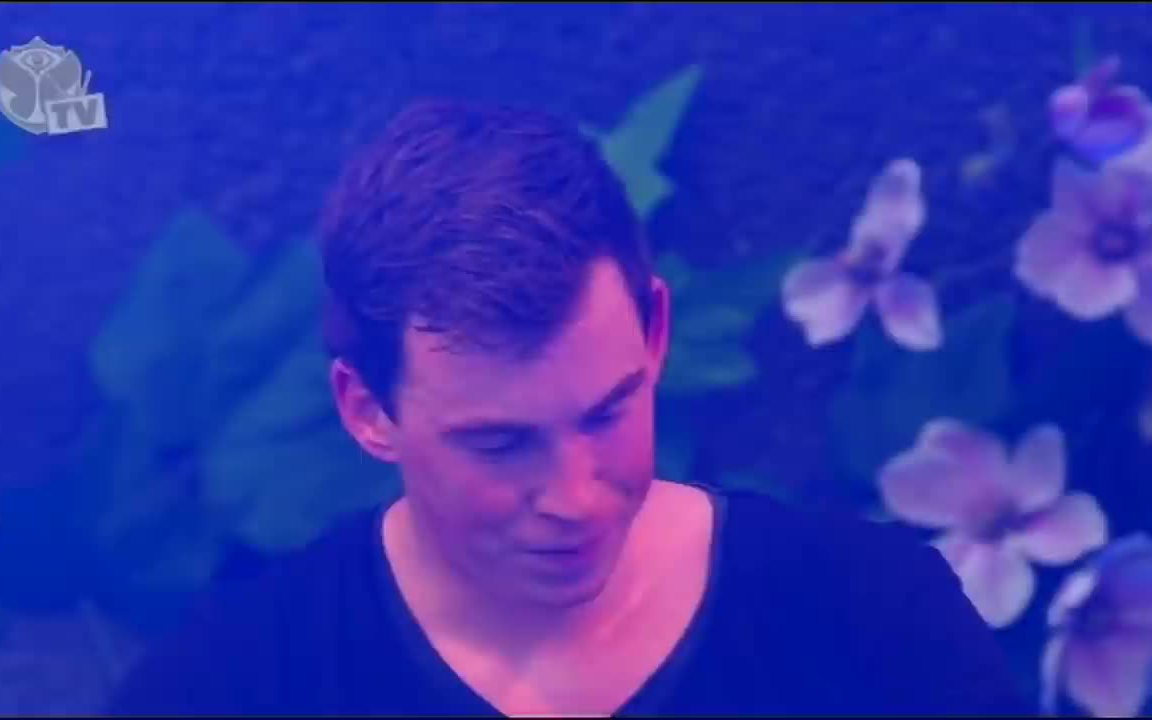 [图]Hardwell Live @ Tomorrowland 2013