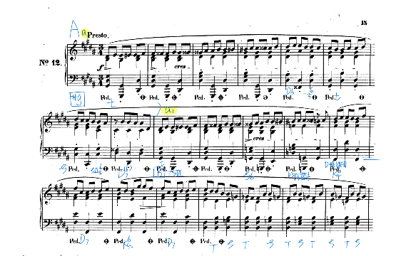 [图]【和声分析/曲谱同步】肖邦前奏曲op.28 no.12