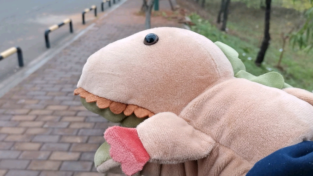 奇奇怪怪 可可爱爱