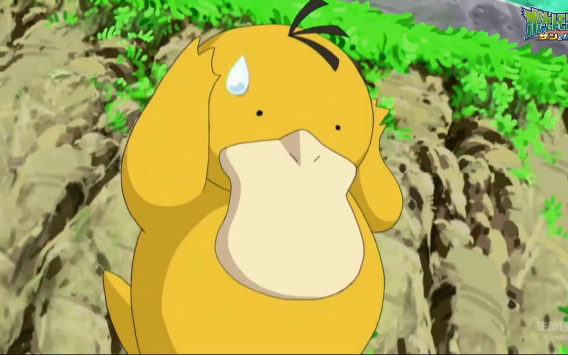 生肉精灵宝可梦太阳与月亮sm第46集变身百变怪寻找那只百变怪直播无