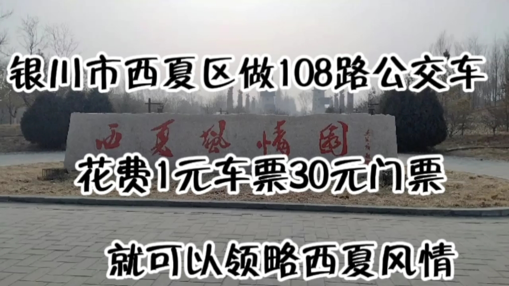 银川西夏风情园,30元一张的门票带你穿越回到西夏古国.哔哩哔哩bilibili