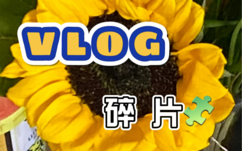 vlog.39|扣扣搜搜又扣出一点哔哩哔哩bilibili