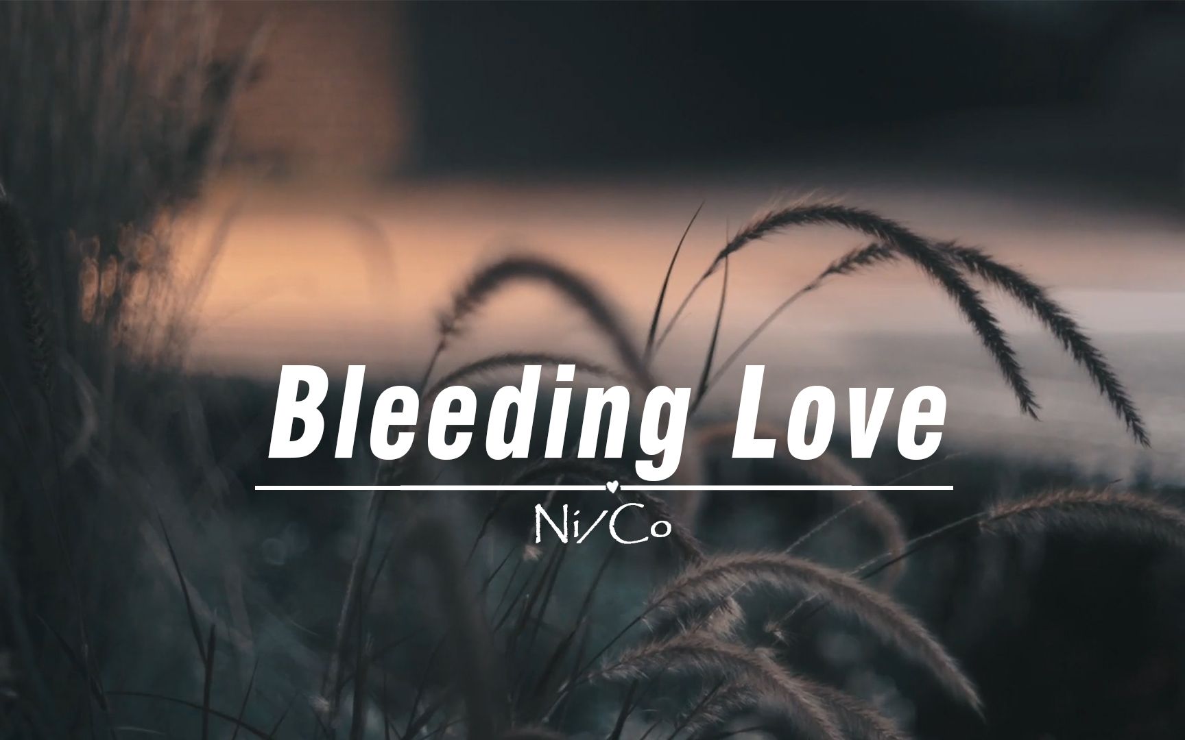 [图]【日推歌单】这首歌真的太温柔了！《Bleeding Love》