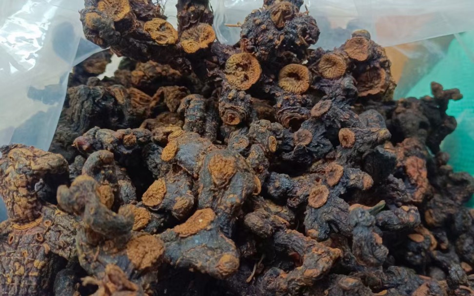 纯天然野生九蒸九晒黄精具有补气养阴,健脾,润肺,益肾之功效.