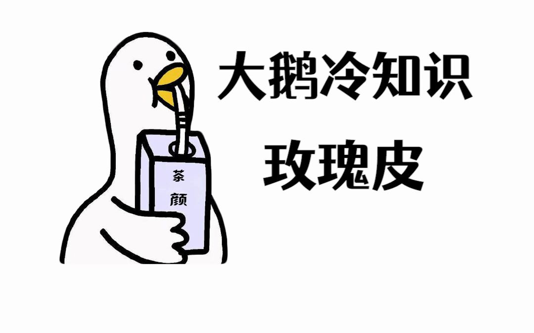 一款过分娇羞的玫瑰皮,你拥有了吗?哔哩哔哩bilibili