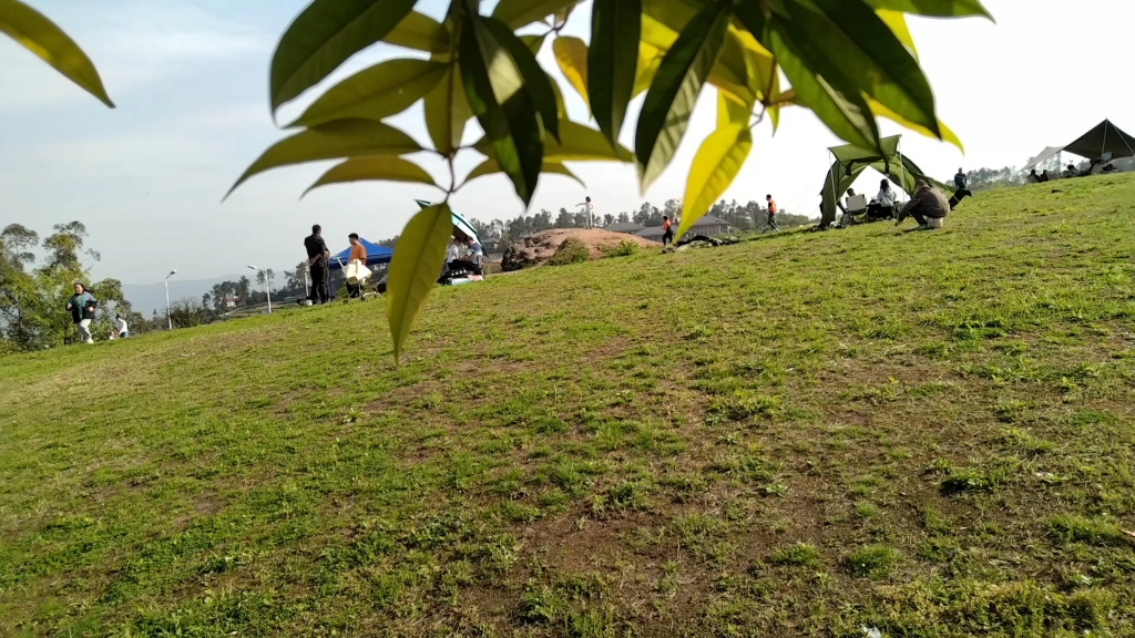 【fox】涪陵北山坪一日游