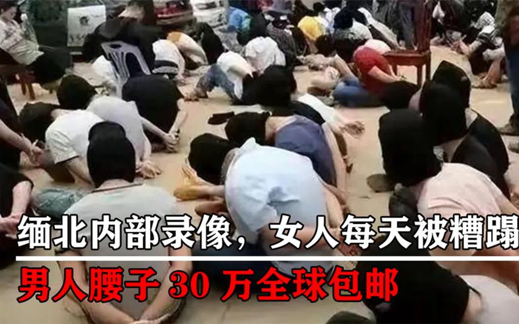 缅北诈骗内部录像,女人每天被糟蹋,男人腰子30万全球包邮哔哩哔哩bilibili