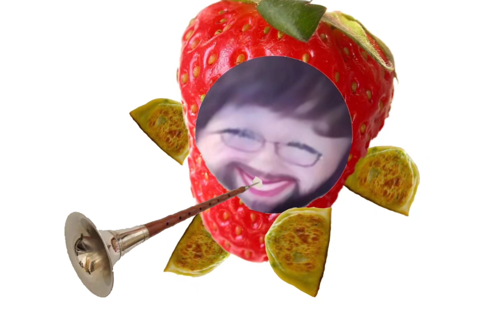 the otto cat(唢呐版)