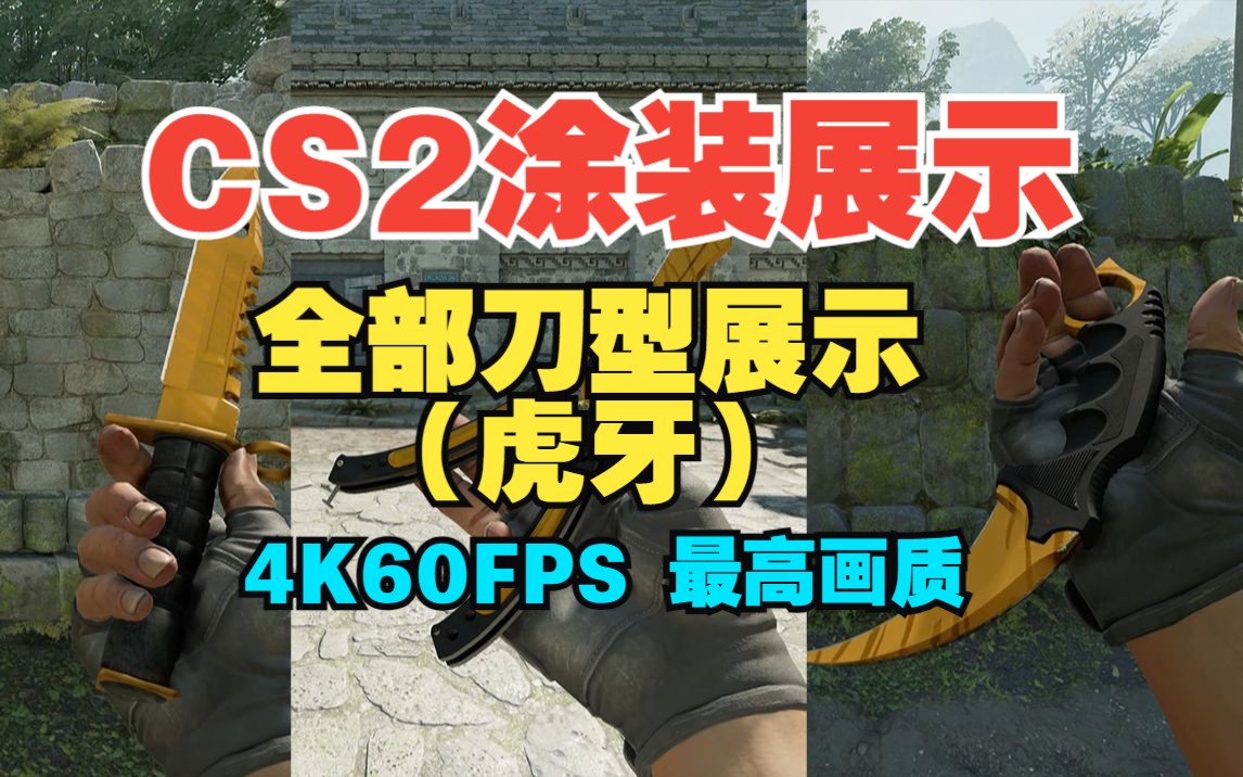 【CS2】 全部虎牙匕首  游戏中展示电子竞技热门视频