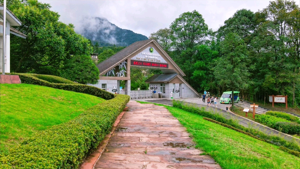 雅安碧峰峡大熊猫基地航拍