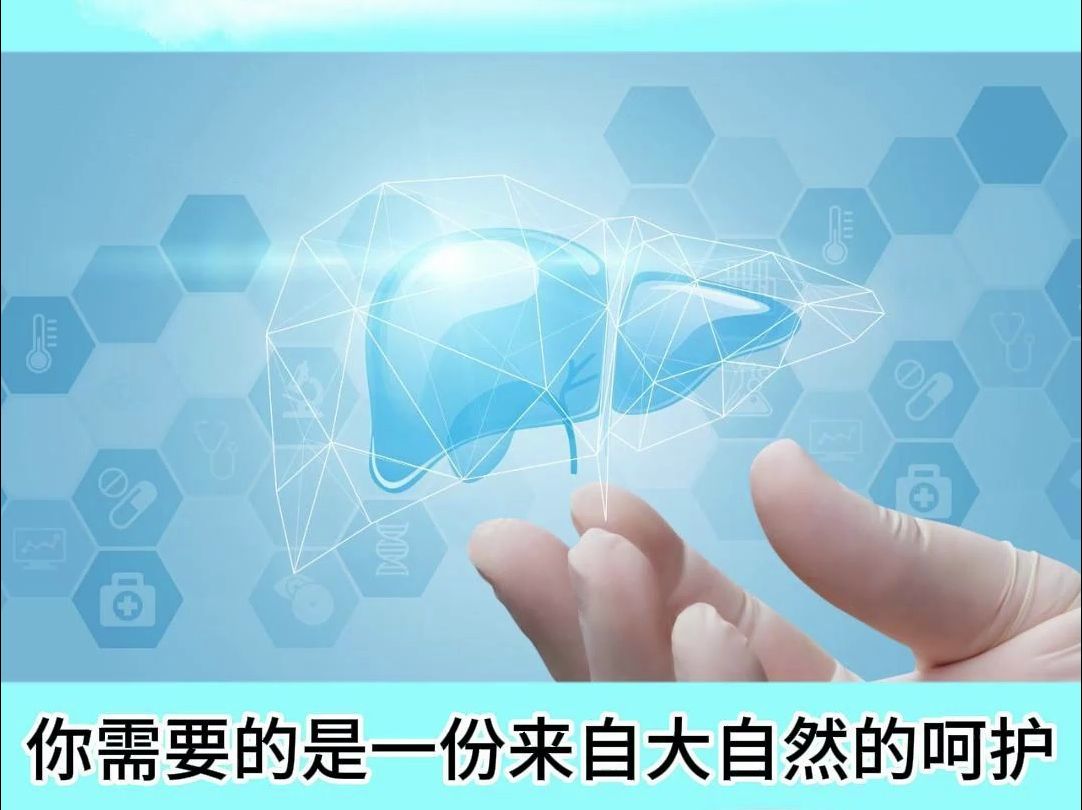 奶蓟草到底有什么神奇力量?一分钟带你了解哔哩哔哩bilibili