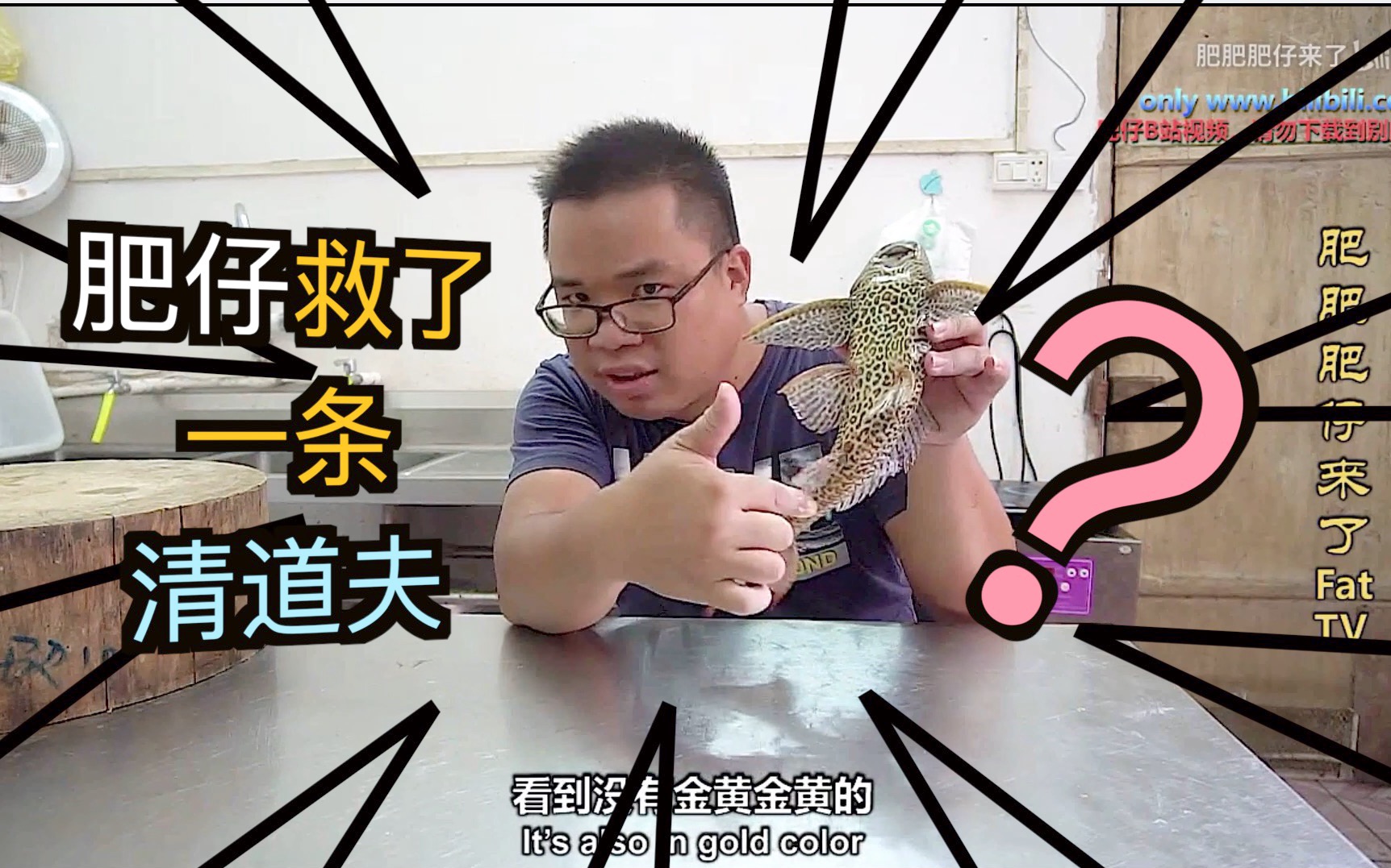 肥仔来了清道夫教父肥仔居然救了清道夫fattv粉丝倾情制作模仿肥仔来