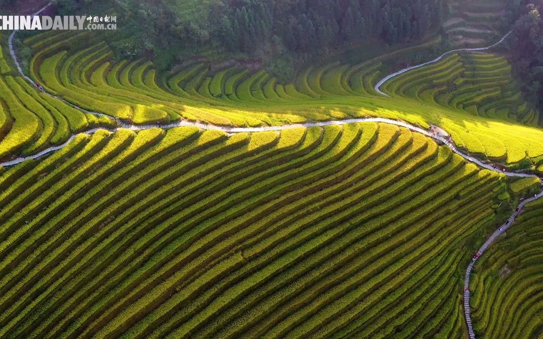 [图]《话说中国节》之秋季篇