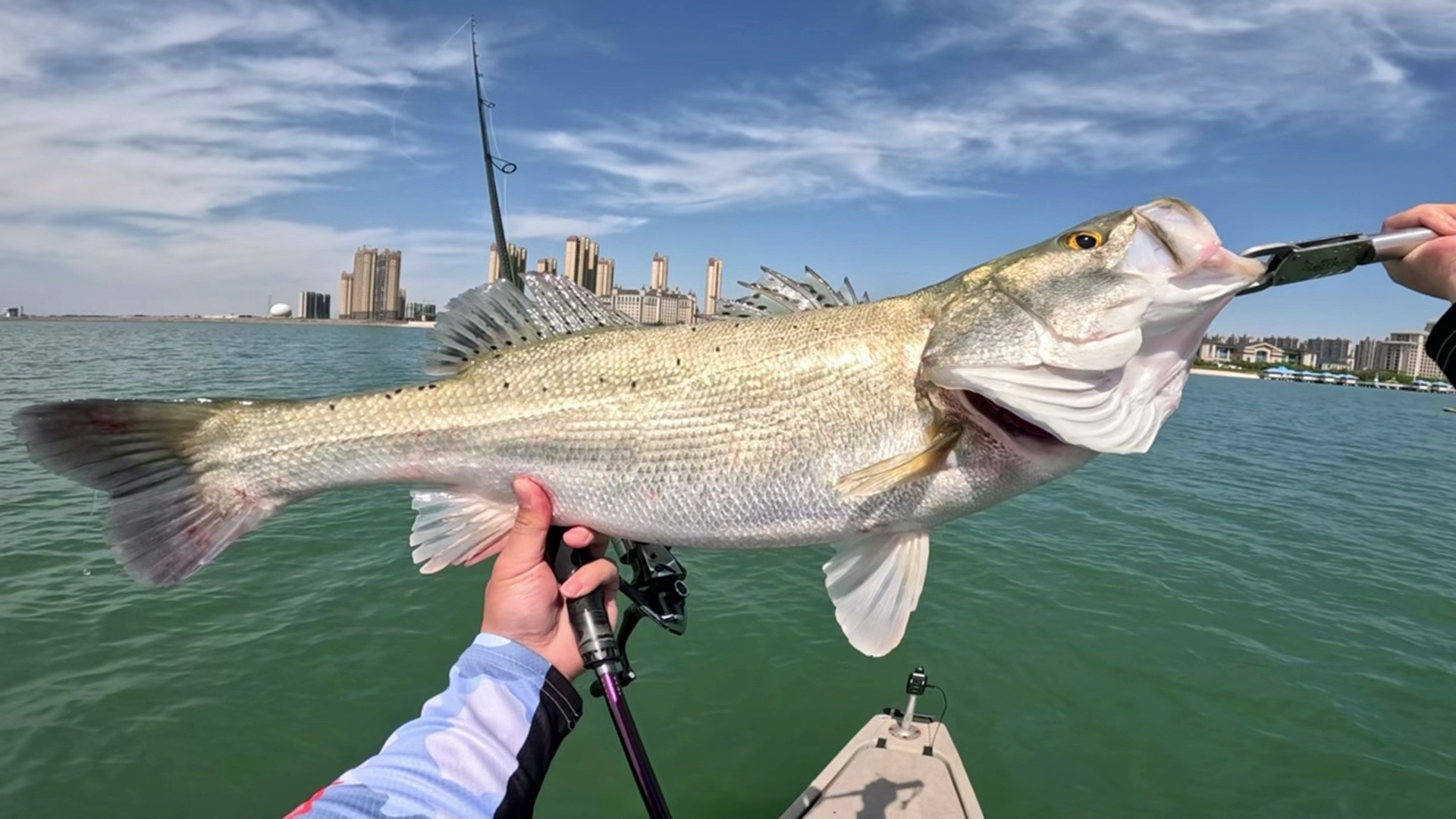 超刺激的路亚比赛,每一条都是大海鲈鱼,疯狂洗腮出线