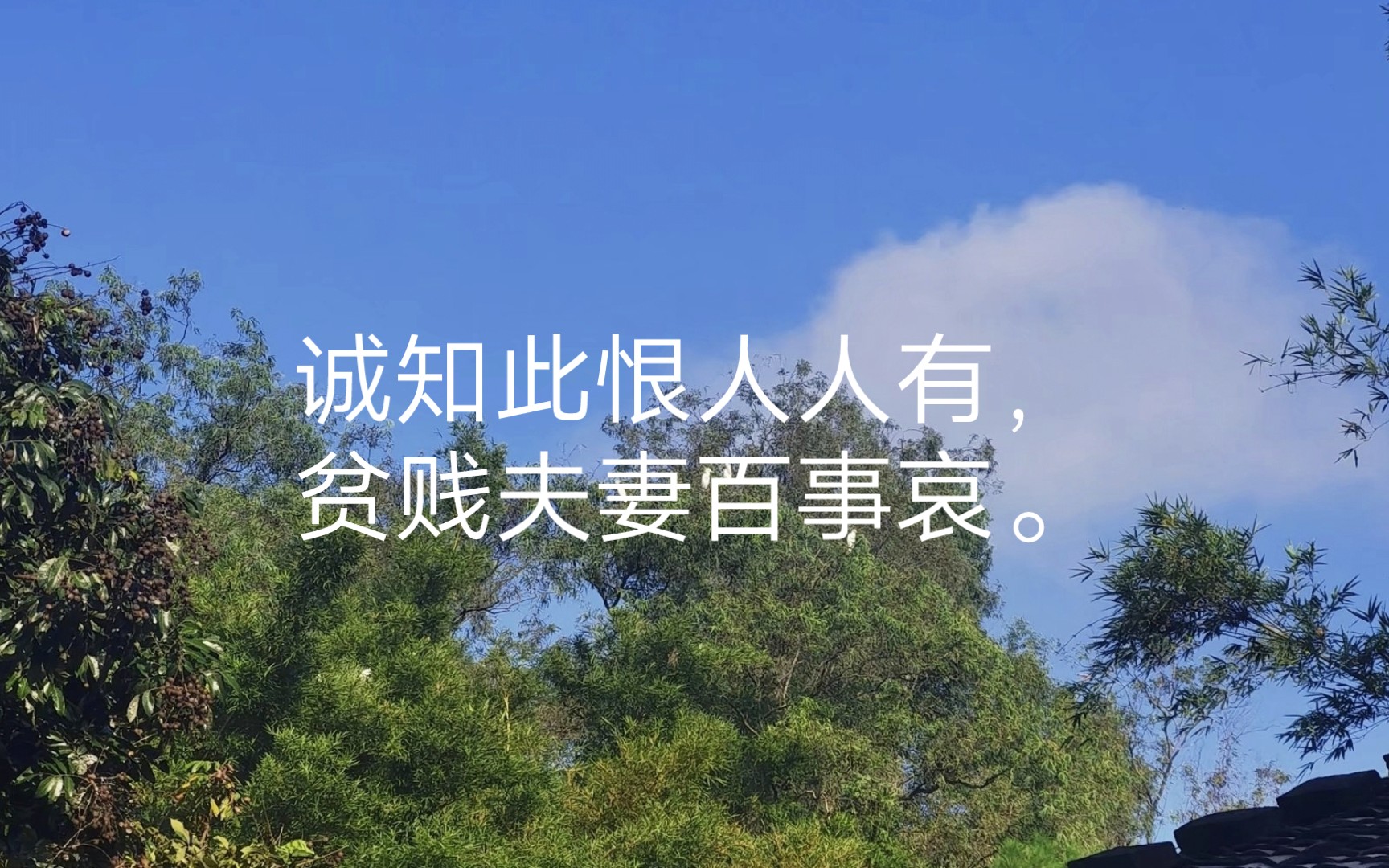 [图]唐诗三百首(遣悲怀三首·其二[唐代]元稹)