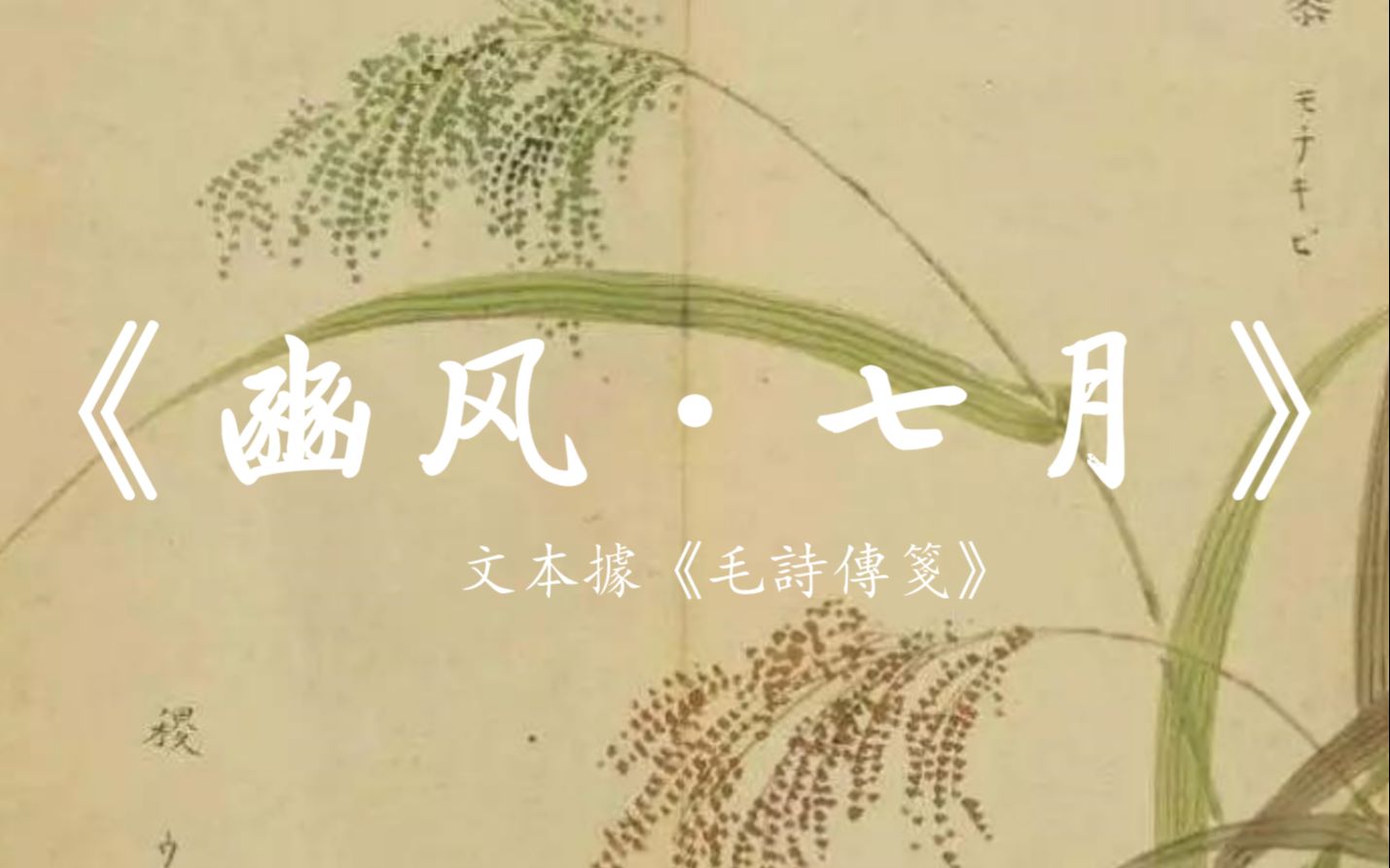 靑棠诗经国风中最长的一首诗豳风七月全文朗诵