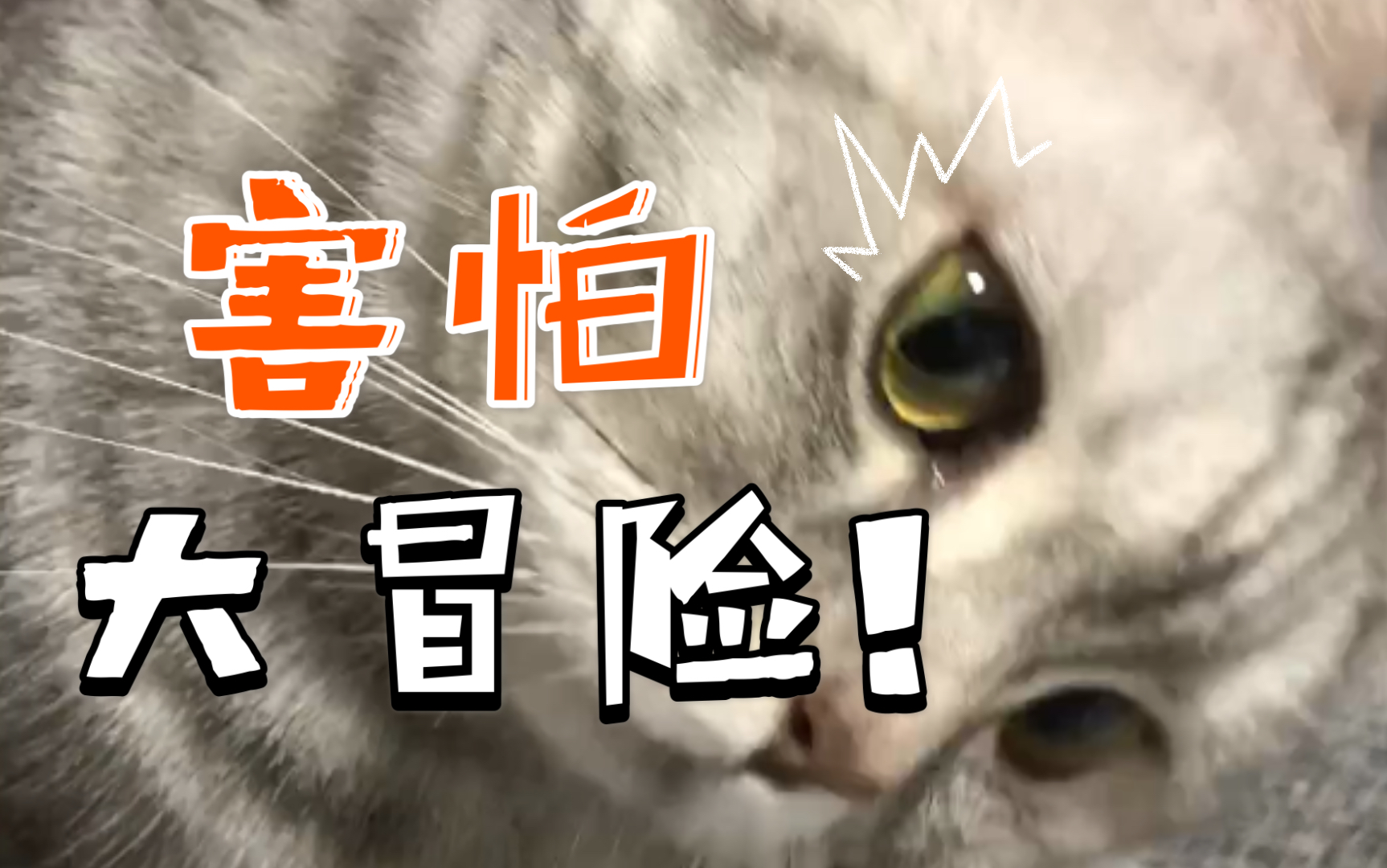 活动作品介是嘛啊