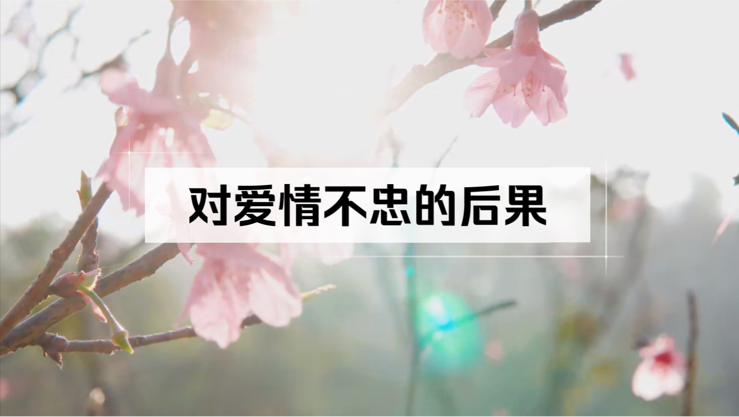 对爱情不忠的后果是什么?分享宇宙笔神和世中仙师父的各种故事集
