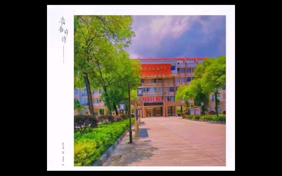 司马浦中学#高中回忆