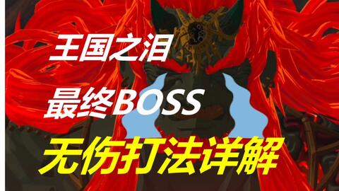 【王国之泪】十分钟教你无伤速通最终BOSS魔王加侬多夫