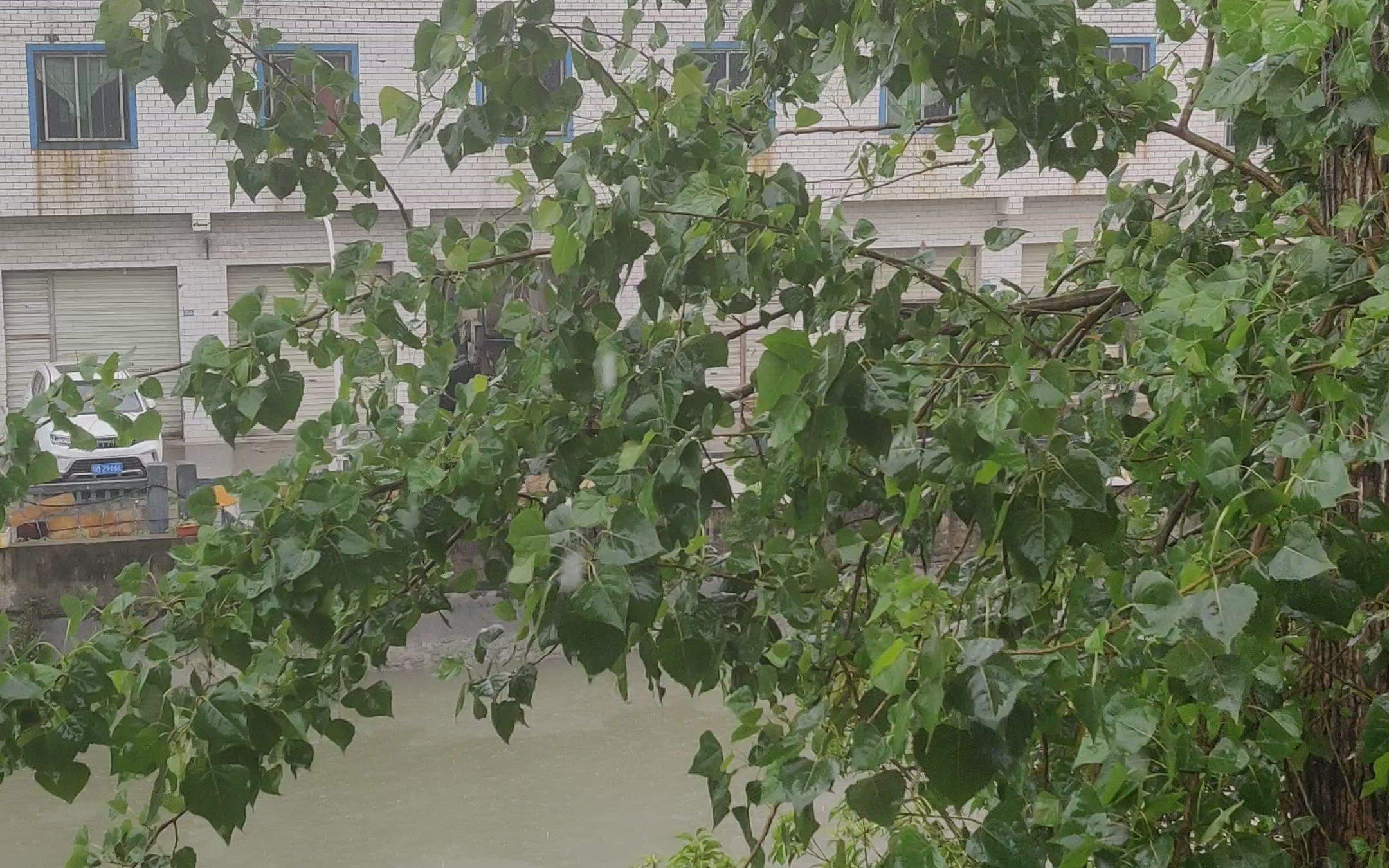 雨夜助眠,享受雨點打在你頭蓋骨的感覺吧,