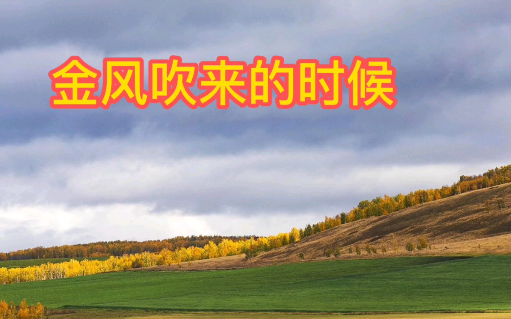 葫芦丝演奏《金风吹来的时候》