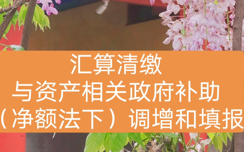 汇算清缴与资产相关政府补助(净额法下)企业所得税(税前)调增和填报哔哩哔哩bilibili