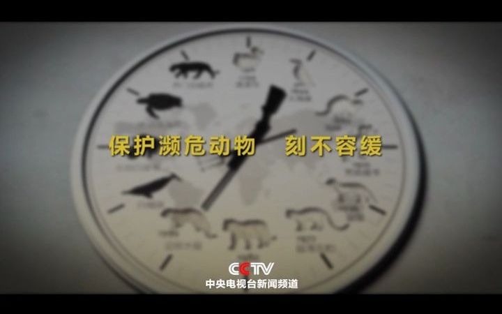 [图]【环保短片】央视公益广告《保护濒危动物》