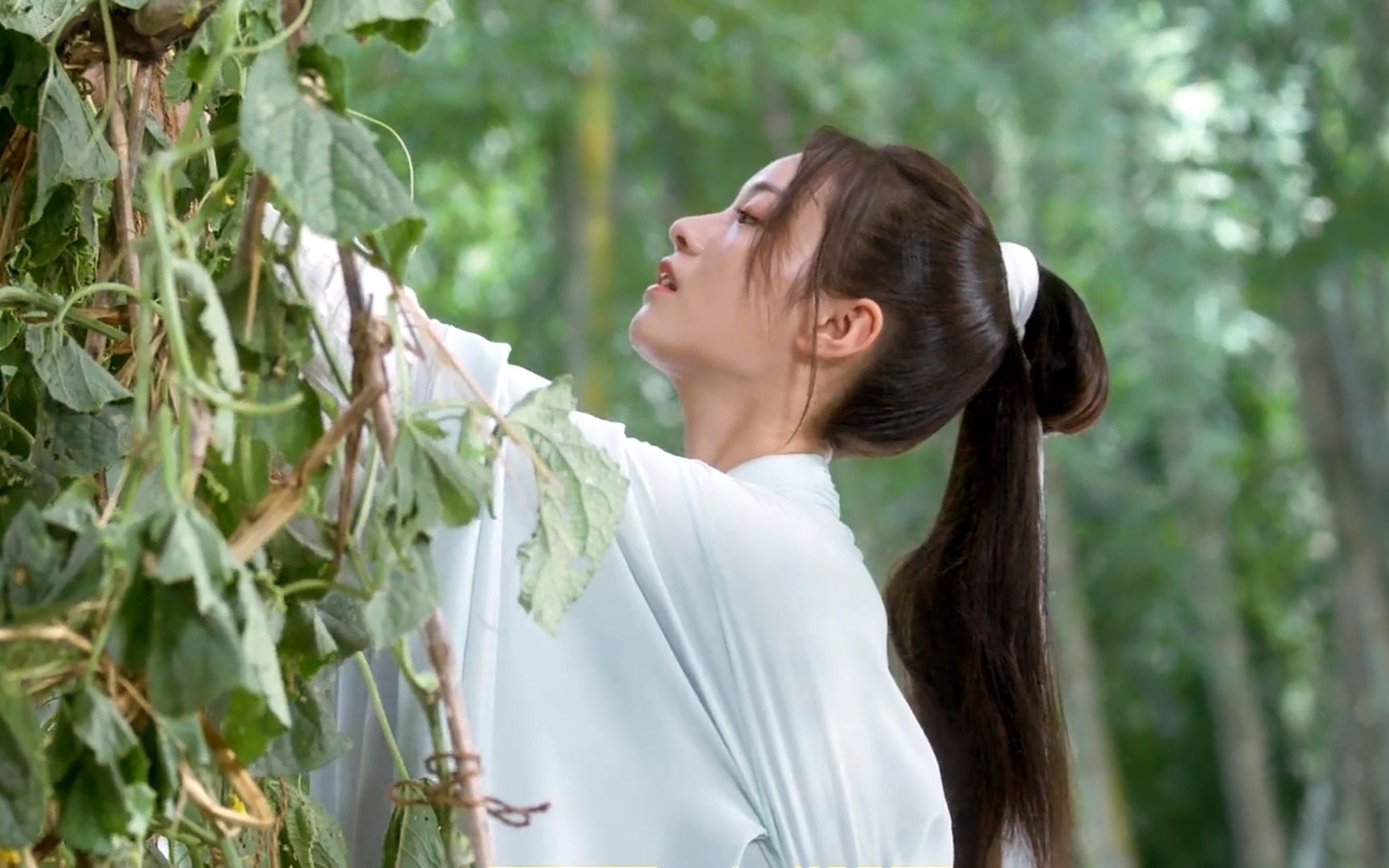 只有我觉得女主其实挺可爱的吗「姜泥个人向」