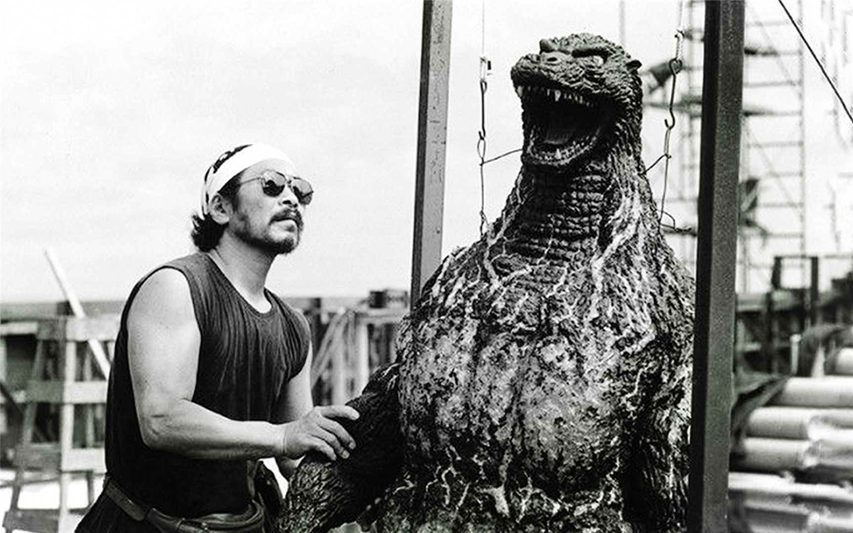 (中字)《哥斯拉vs戴斯特洛伊亚》1995年(24周年纪念)