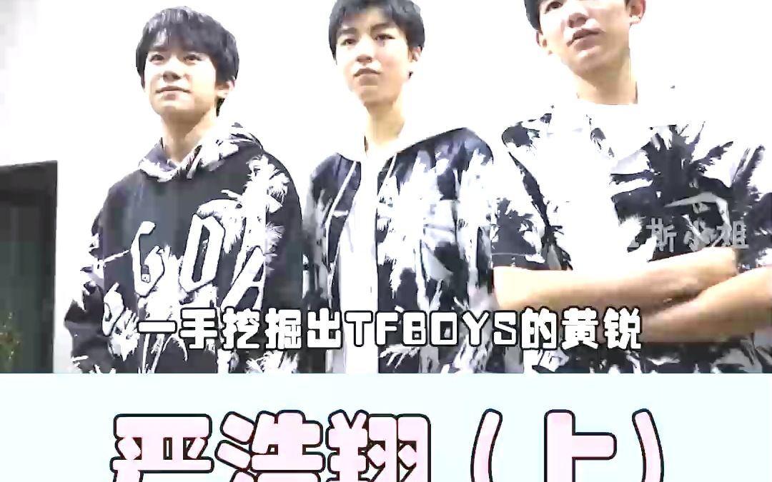 黄锐和李飞分家时,为何不带走TFBOYS,而要带走严浩翔? #严浩翔 #tfboys哔哩哔哩bilibili