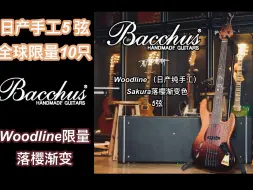 Скачать видео: 全球限量10只？高端日产手工贝斯Bacchus巴克斯Woodline颠覆认知的超绝表现！