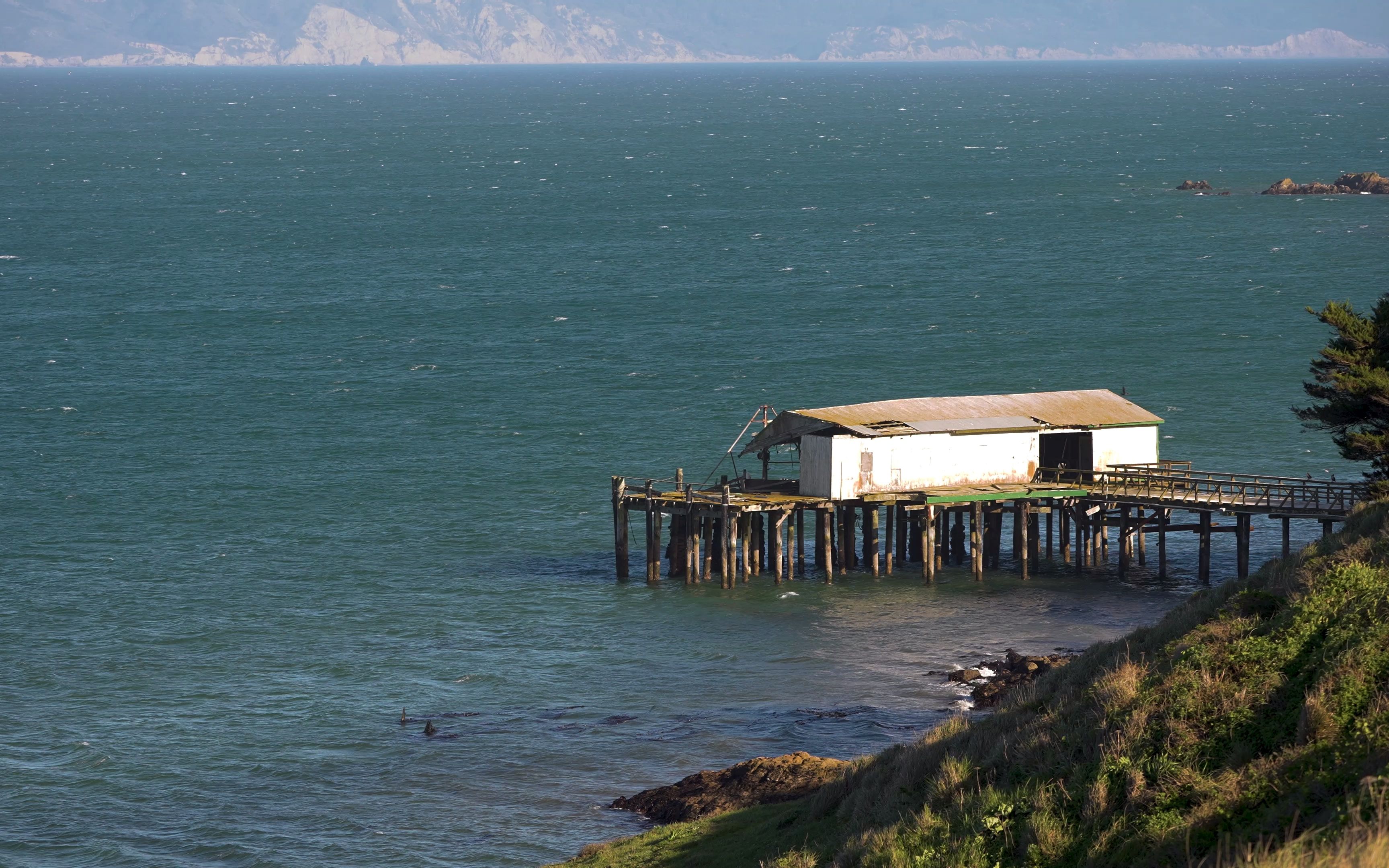 [图]Point Reyes National Seashore纪录短片