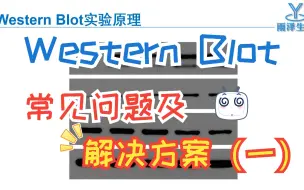 Download Video: #电泳-western blot#第十一期 WB常见问题及解决方案（一）（科研新手必看）